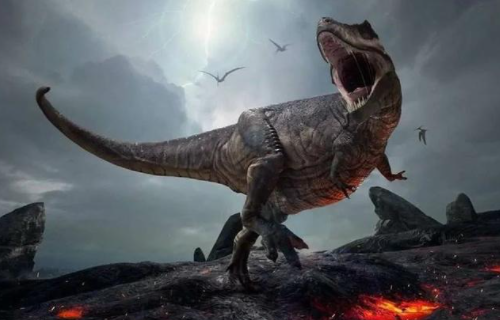 能杀死霸王龙的十种恐龙_什么龙可以杀死霸王龙